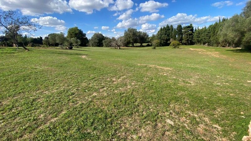 Zerkleinerung von Steinen, Bauschutt und Aushubmaterial.