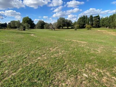 Zerkleinerung von Steinen, Bauschutt und Aushubmaterial.