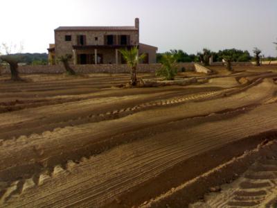 Zerkleinerung von Steinen, Bauschutt und Aushubmaterial.