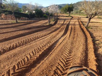 Zerkleinerung von Steinen, Bauschutt und Aushubmaterial.