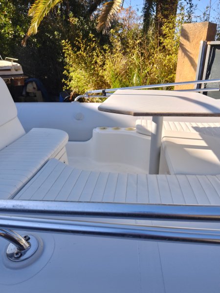 Zodiac 540 mit Trailer