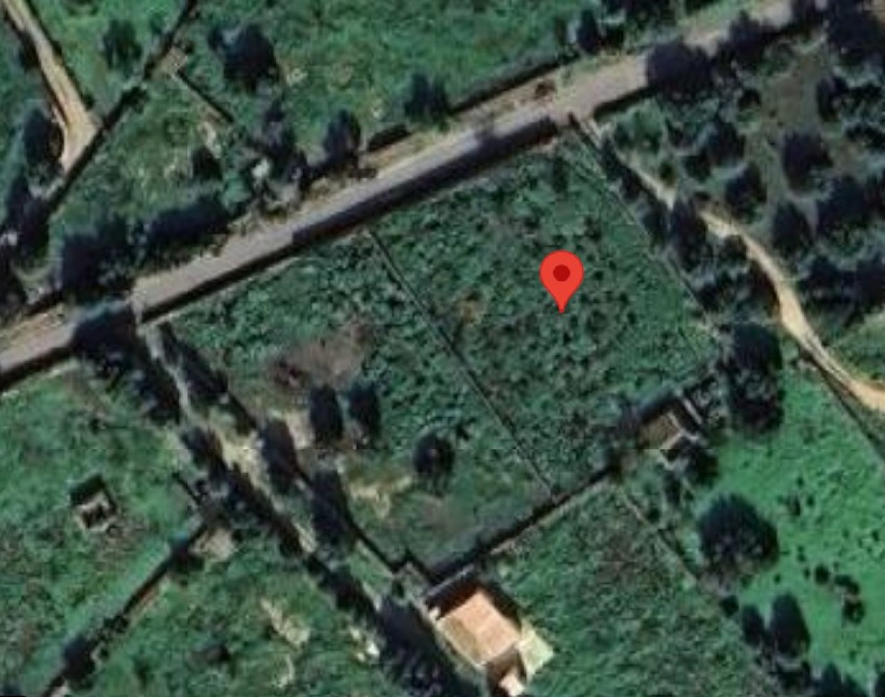 Zu vermieten: Grundstück von 5.000 m² mit Häuschen in Santanyí – Ideal für Pferde