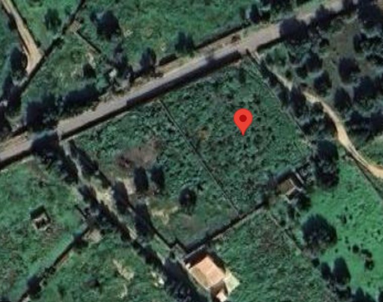 Zu vermieten: Grundstück von 5.000 m² mit Häuschen in Santanyí – Ideal für Pferde