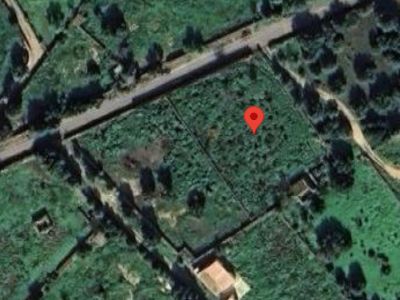 Zu vermieten: Grundstück von 5.000 m² mit Häuschen in Santanyí – Ideal für Pferde