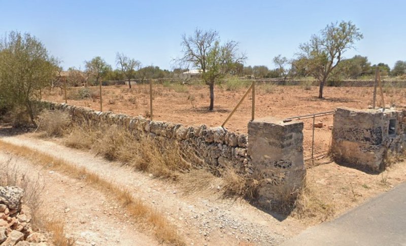 Zu vermieten: Grundstück von 5.000 m² mit Häuschen in Santanyí – Ideal für Pferde