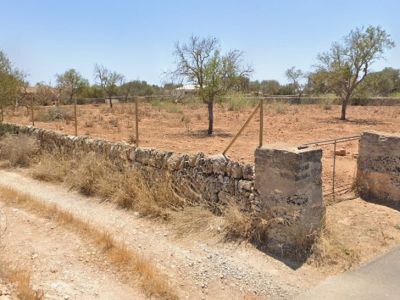 Zu vermieten: Grundstück von 5.000 m² mit Häuschen in Santanyí – Ideal für Pferde