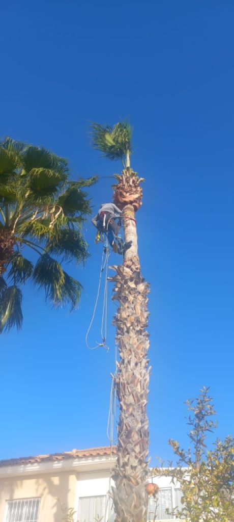 Zuverlässig Gärtner