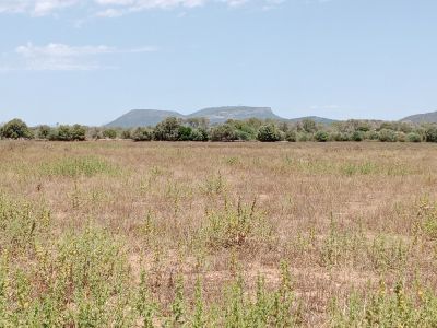 Zwei benachbarte Grundstücke mit genehmigten Projekt nahe Campos