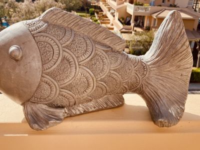 Zwei Fische suchen eine neue Umgebung