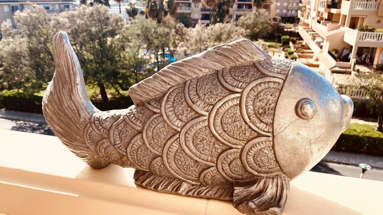 Zwei Fische suchen eine neue Umgebung