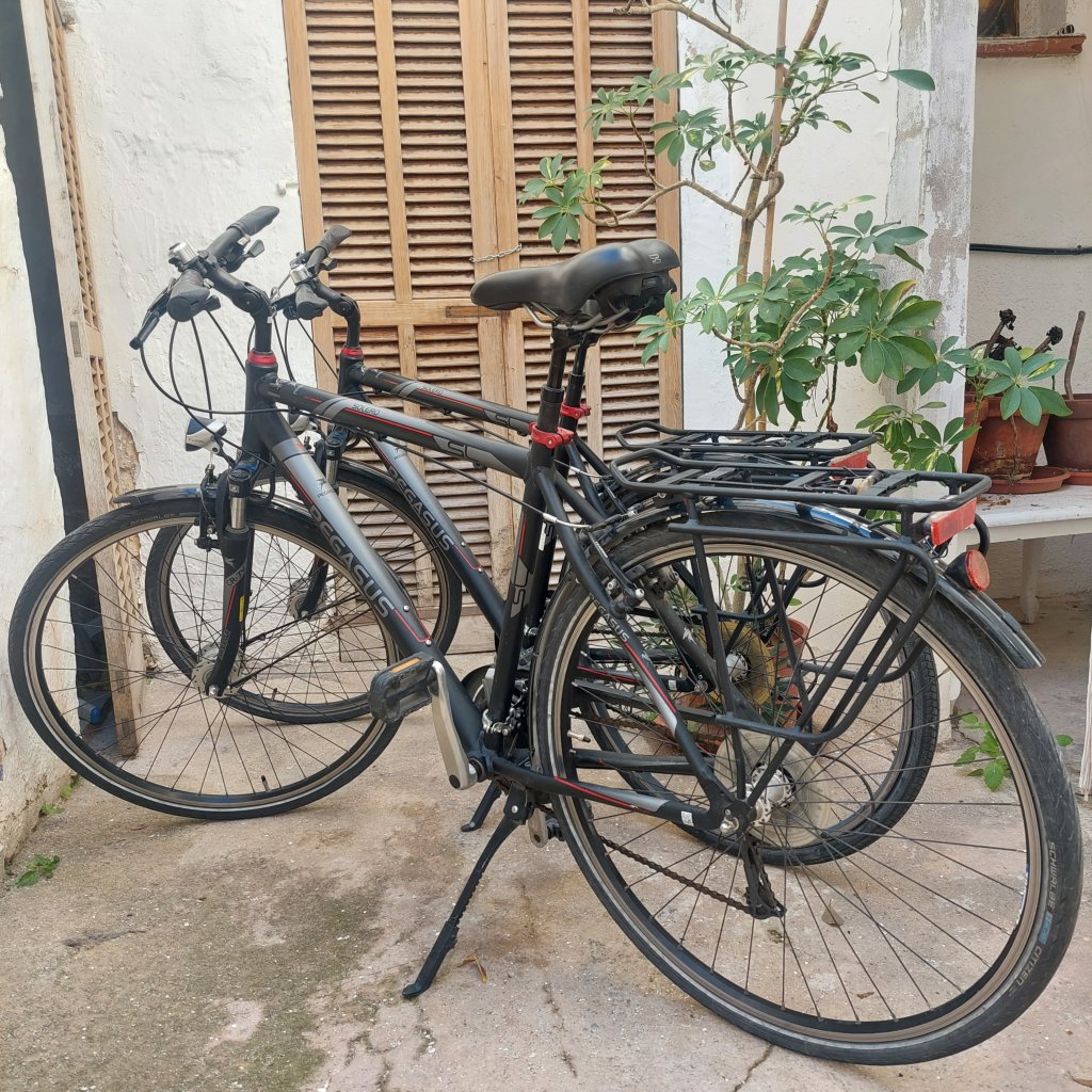 Two Pegasus Solero Men's Bicycles