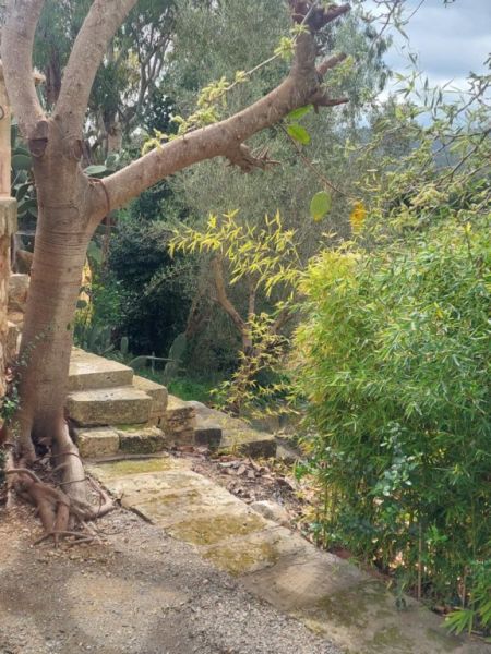 Zweite Wohnung auf Finca bei Manacor